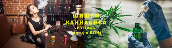 сатива Кукмор