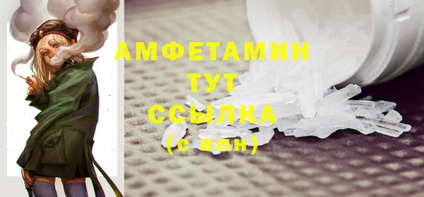 сатива Кукмор