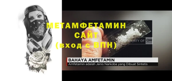 сатива Кукмор