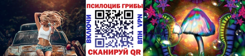 Купить где Нерчинск Галлюциногенные грибы мухоморы